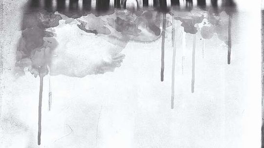 Dziki Lublin: Ucieczka z Zamku