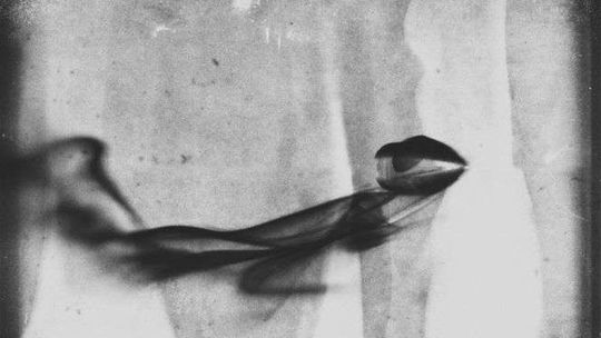 Dziki Lublin. Zamach na policmajstra