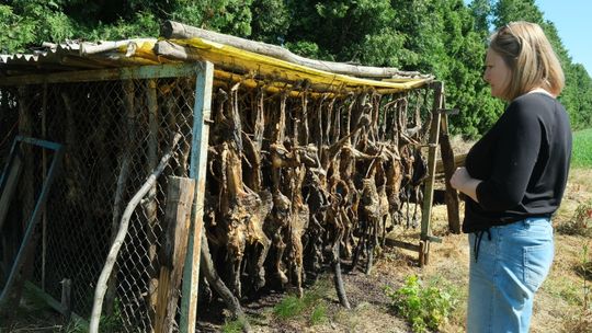 Dzikie cmentarzysko zwierząt pod Lublinem
