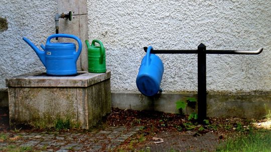 Dzikie rzeki – recepta na suszę