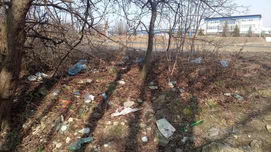 Dzikie wysypisko na Felinie ma zniknąć