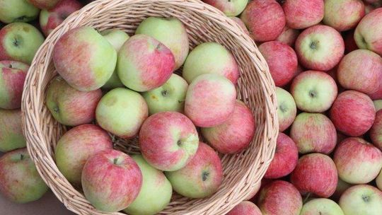 Dziś będą protestować sadownicy. Zablokują drogę w Annopolu