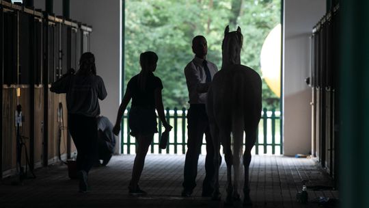 Dziś Pride of Poland 2020. Wszystko gotowe do licytacji [zobacz]