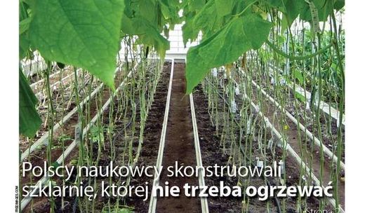 Dzisiaj AgroDziennik za darmo z Dziennikiem Wschodnim