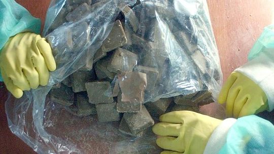 Dzisiaj rozpoczyna się szczepienie lisów. Zrzucą pół miliona dawek z samolotu