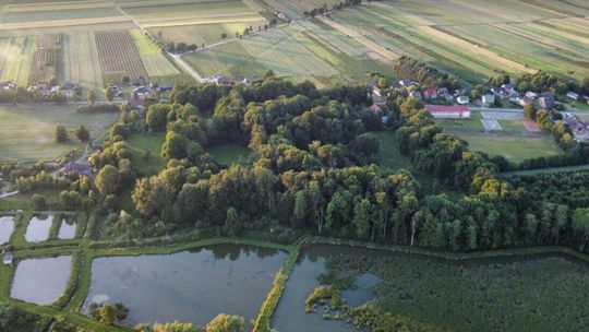 Dżungla w podworskim parku. To miejsce trzeba ratować 