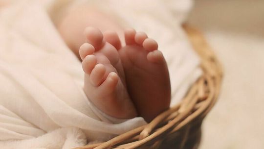 Dzwonią do urzędu i pytają o in vitro. Do kliniki już zgłosiły się pary 