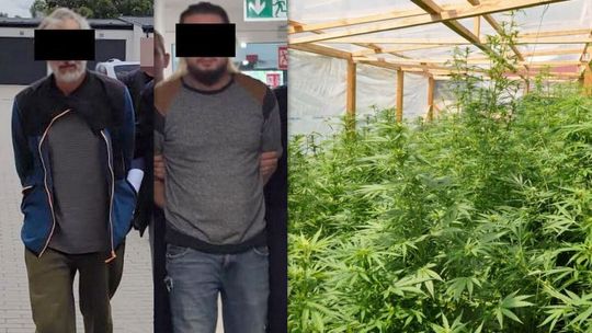 Hodowali narkotyki w tunelu. Grozi im 20 lat za kratkami
