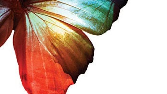 Eben Alexander, \"Dowód”