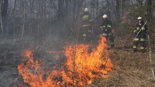 Efekty wypalania traw: Martwy mężczyzna i karambol 8 samochodów