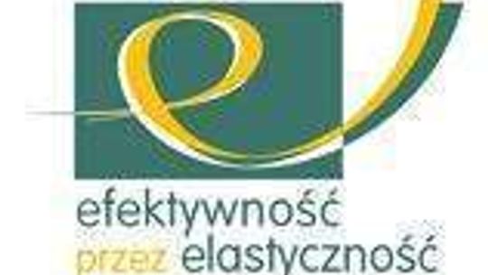 Efektywność przez elastyczność. Świat stawia na elastyczne miejsca pracy i zatrudnienie