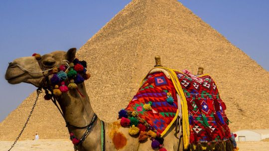 Egipt po polsku – Poznaj kraj faraonów z lokalnym przewodnikiem