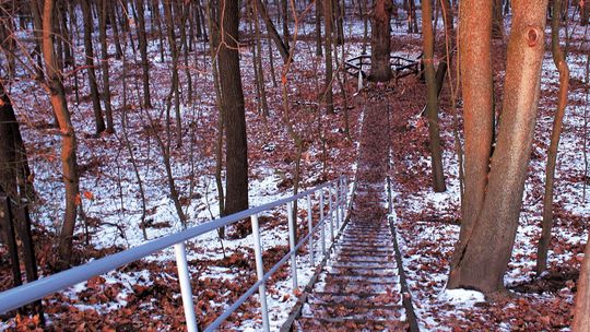 Egzekucja żołnierzy Armii Krajowej. Nasz czytelnik z Niemiec przysłał list i mapy
