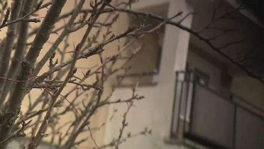 Egzorcyzmy na Bronowicach: Psychiatra zbada rodzinę