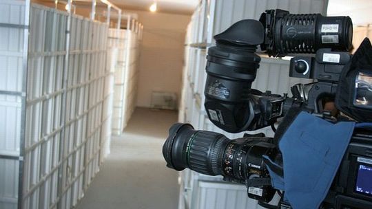 Ekipa Dzień Dobry TVN z wizytą w lubelskiej hodowoli świerszczy