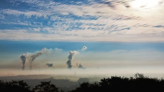 Ekolodzy apelują o przyjęcie tzw. uchwały antysmogowej. Bez tego stajemy się "paliwowym śmietnikiem"