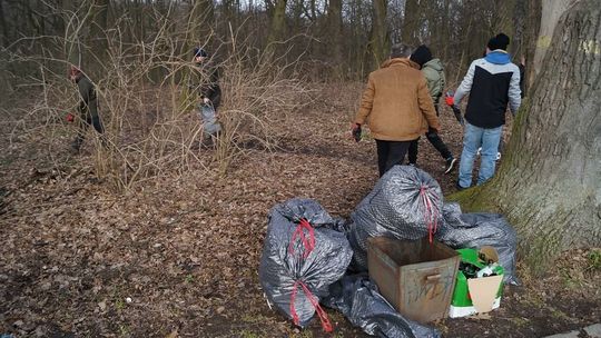 Ekologiczna resocjalizacja. Wzięli worki, poszli w las