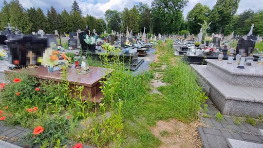 Ekologiczny czy zaniedbany? Czytelnik oburzony stanem cmentarza