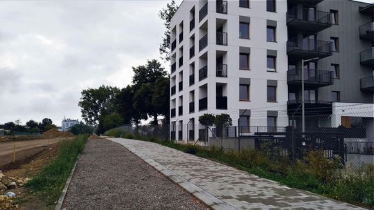 Ekranów nie będzie, bo jest już za późno. Miasto proponuje krzewy