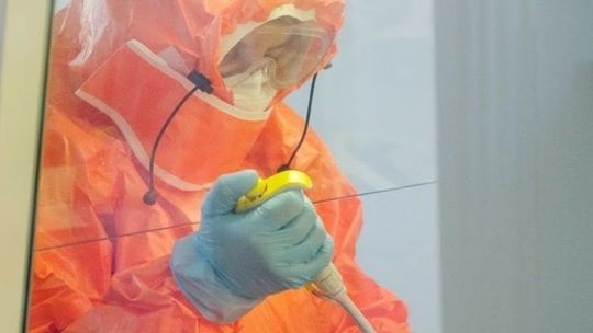 Eksperci Światowej Organizacji Zdrowia: Koronawirus może zabić do 190 tys. ludzi w Afryce