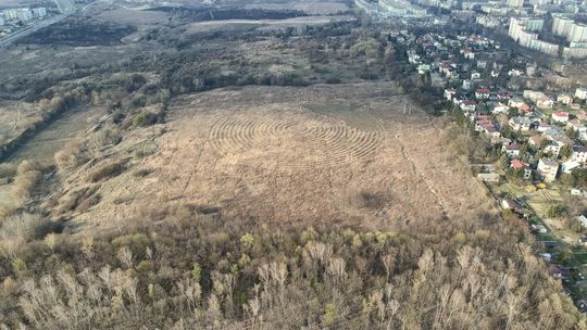 Eksperci z Katowic krytykują lubelski raport naukowców o górkach czechowskich