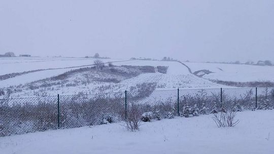 Eksperyment w Cygańskim Lesie. Takie spacery zwiększają zadowolenie z własnego ciała