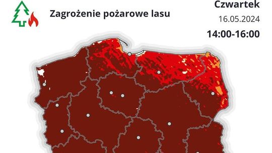 Ekstremalne zagrożenie w lasach