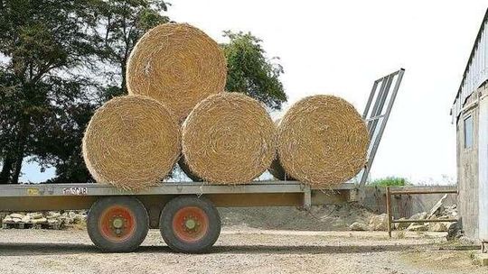 Elektrownia na słomę w Lublinie? Inwestor obiecuje, że nie będzie brzydkich zapachów