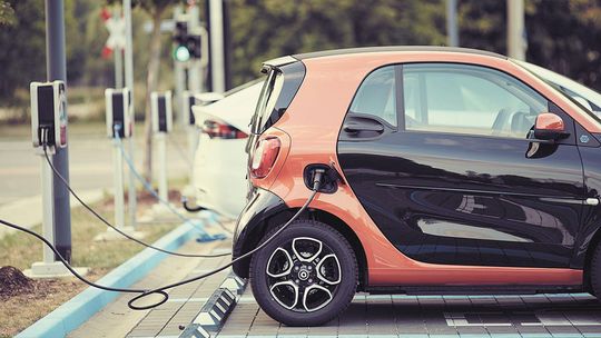 Elektryzujące zmiany w Zamościu. Zabytkowe miasto w XXI wieku