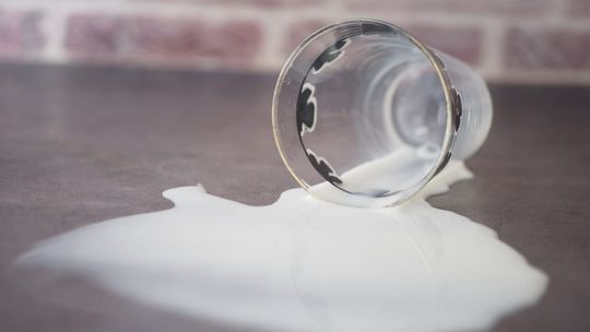 Eliksir natury, który zmienia codzienność – jak wykorzystać moc colostrum?