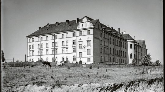 Elitarna Wieniawa. Miejscówka jak marzenie. Za szpitalem lekarze uprawiali warzywniak