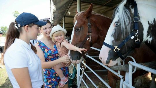 Elvis i Donatello mają swoje święto. Coś dla miłośników koni 