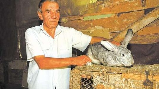 Emeryt kontra nadleśniczy. Awantura o stodołę i oborę