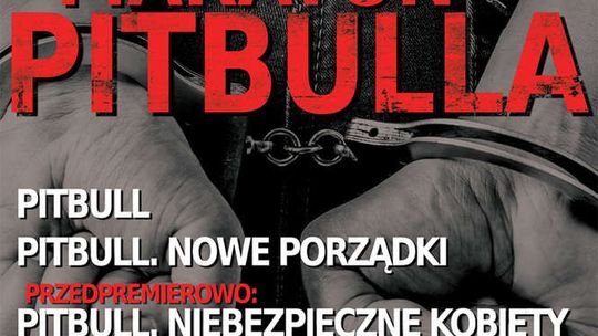 ENEMEF: Noc Pitbulla w Multikinie