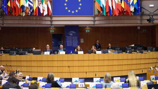 Europejskie regiony biją na alarm w sprawie demografii: trzeba zaangażować unijne fundusze 