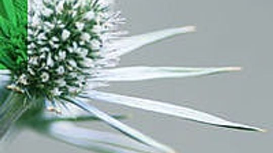 Ewa Woydyłło, \"Bo jesteś człowiekiem. Żyć z depresją, ale nie w depresji\"