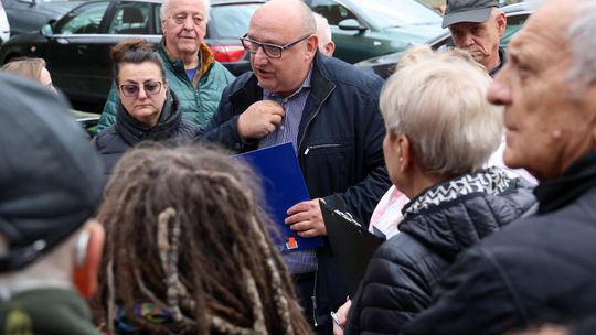 Drzewa kosztem parkingu czy parking kosztem drzew? Wieniawska walka o zieleń
