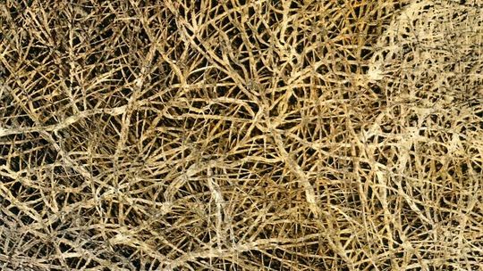 \"Faktury Ziemi”.  Wystawa w Gardzienicach