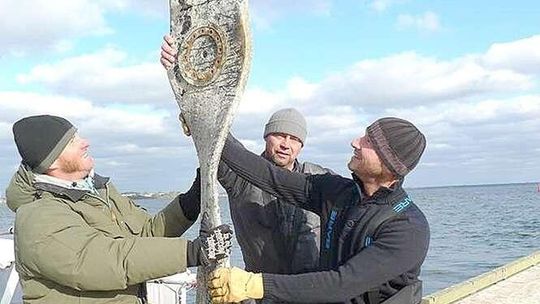 "Fantastyczne i sensacyjne odkrycie". Na dnie Zatoki Puckiej znaleźli samolot z lubelskiej fabryki
