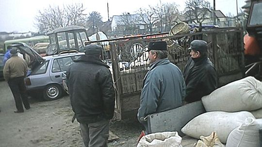 Farmer podlaski przeciw Unii
