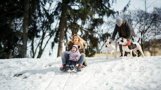 Ferie w Muzeum Narodowym w Lublinie