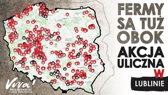 Fermy są tuż obok! Dziś akcja uliczna w Lublinie