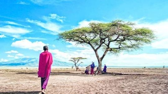 Festiwal Dwa Brzegi w Kazimierzu: Wystawy Marcina Kydryńskiego i Kazimierskiej Konfraterni Sztuki