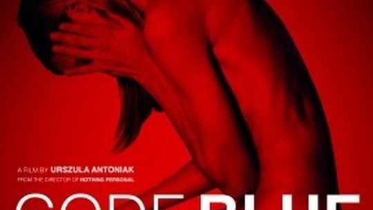 Festiwal Nowe Horyzonty w kinie Bajka