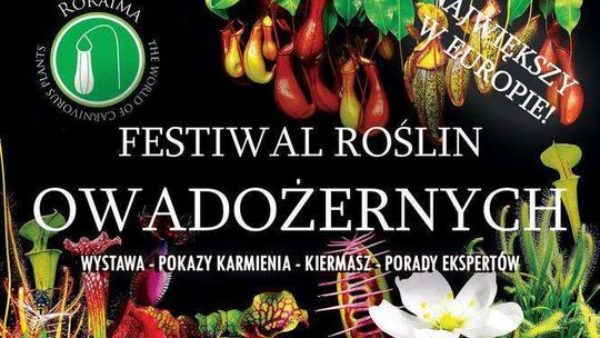 Festiwal Roślin Owadożernych w Ogrodzie Botanicznym