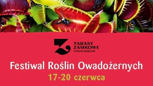 Festiwal Roślin Owadożernych w Tarasach Zamkowych