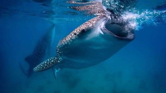 Finał Akademii Dokumentalnej w CSK