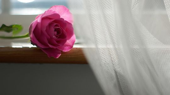 Firany gotowe czy szyte przez krawcową? To zależy!