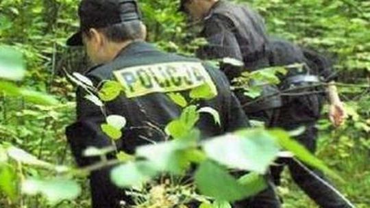 Firlej: 80-latek zaginął w lesie