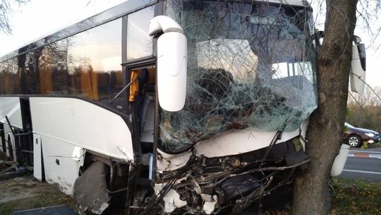 Firlej: Wypadek autokaru z weselnikami. 24 osoby w szpitalu (zdjęcia)